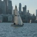 Compétition de voiles